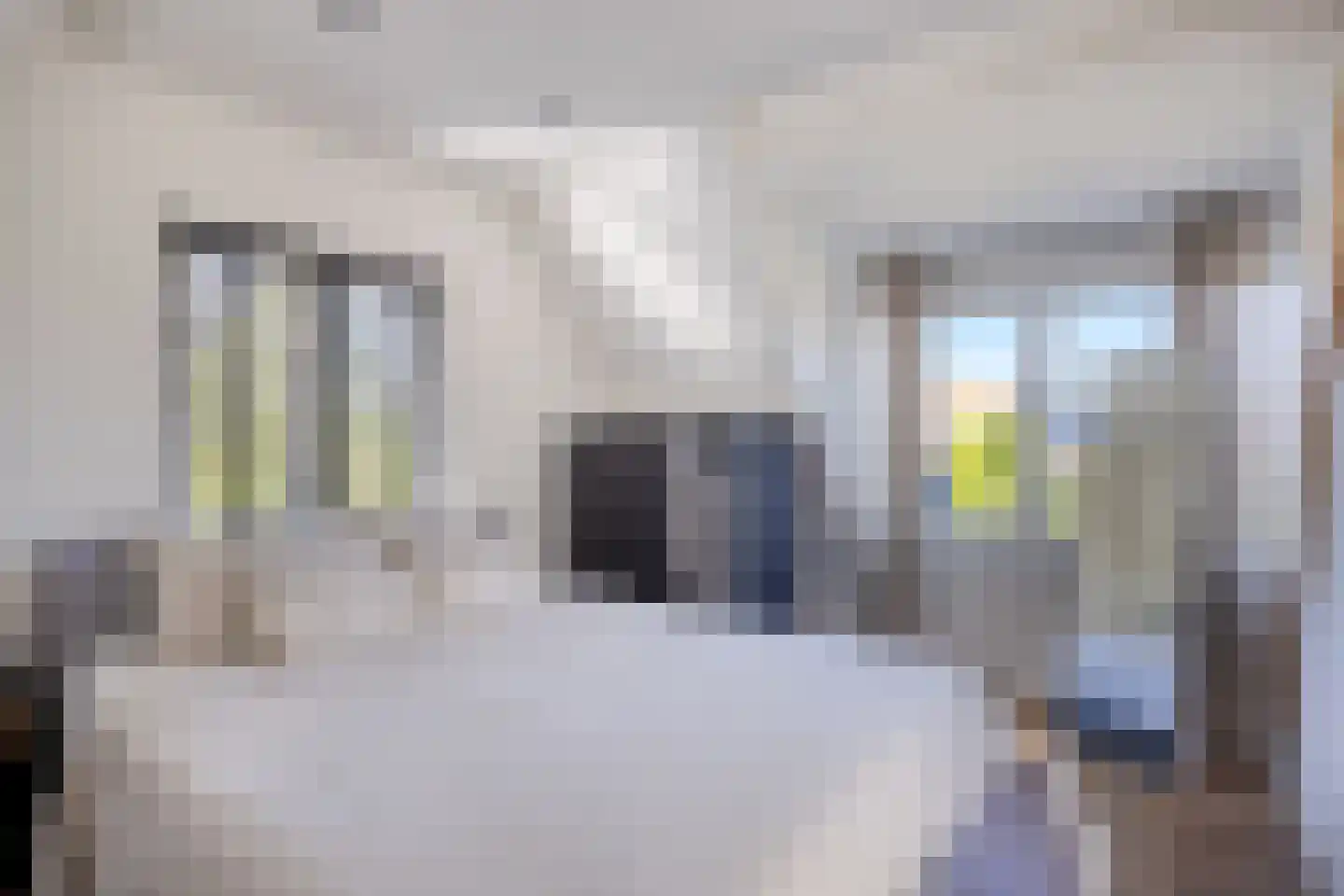 Hoogewaard 190 Koudekerk aan den Rijn thumbnail 41