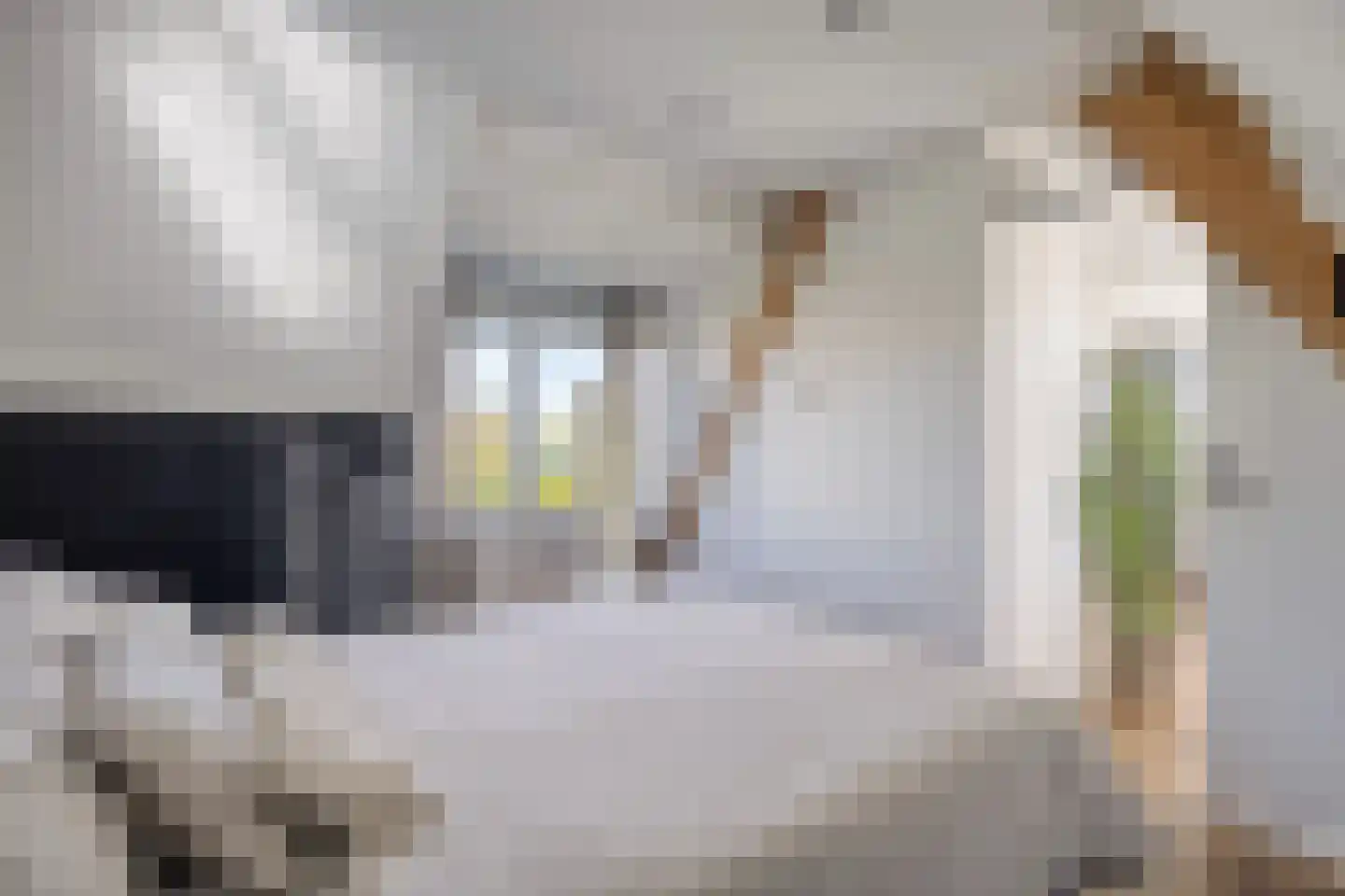 Hoogewaard 190 Koudekerk aan den Rijn thumbnail 42