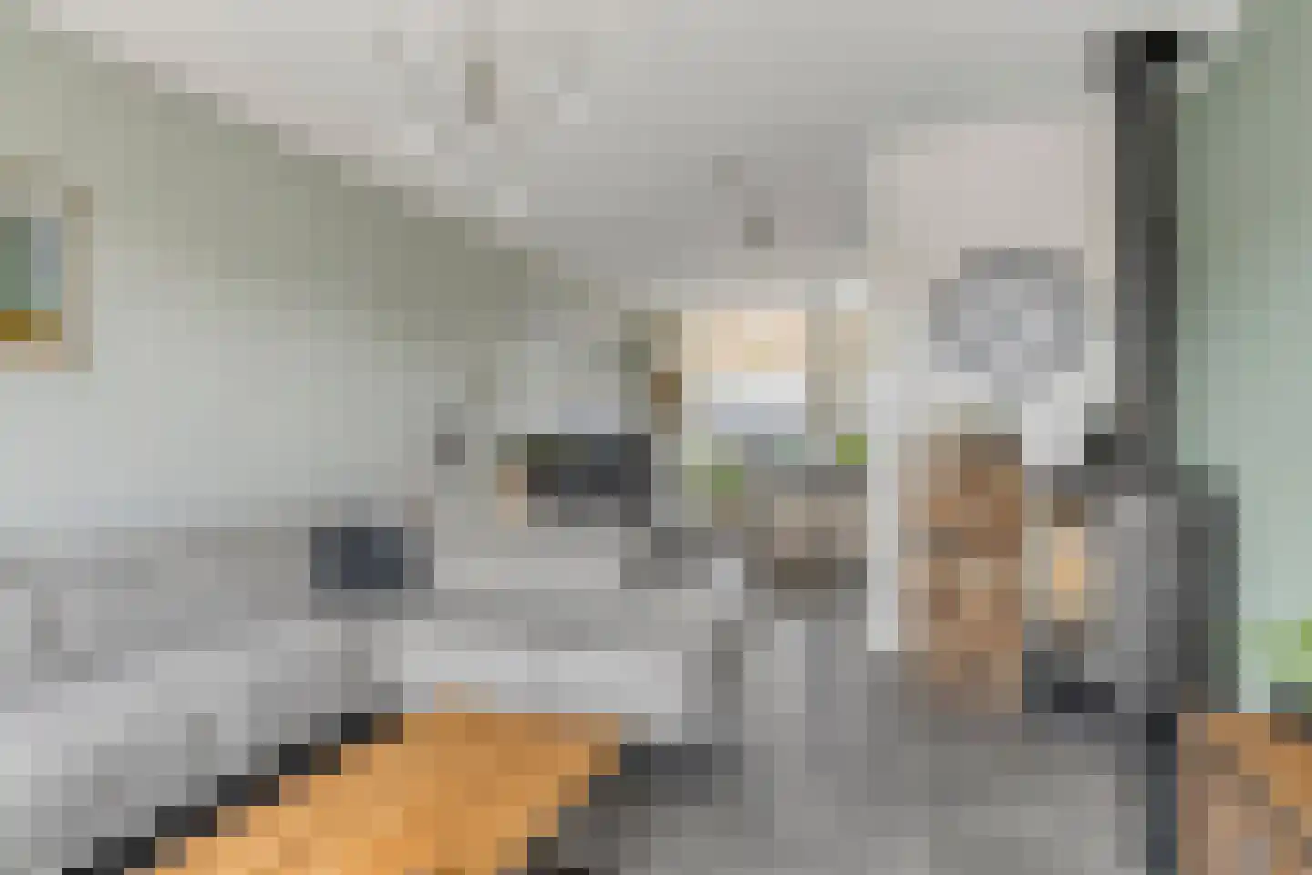 Hoogewaard 204 Koudekerk aan den Rijn thumbnail 14