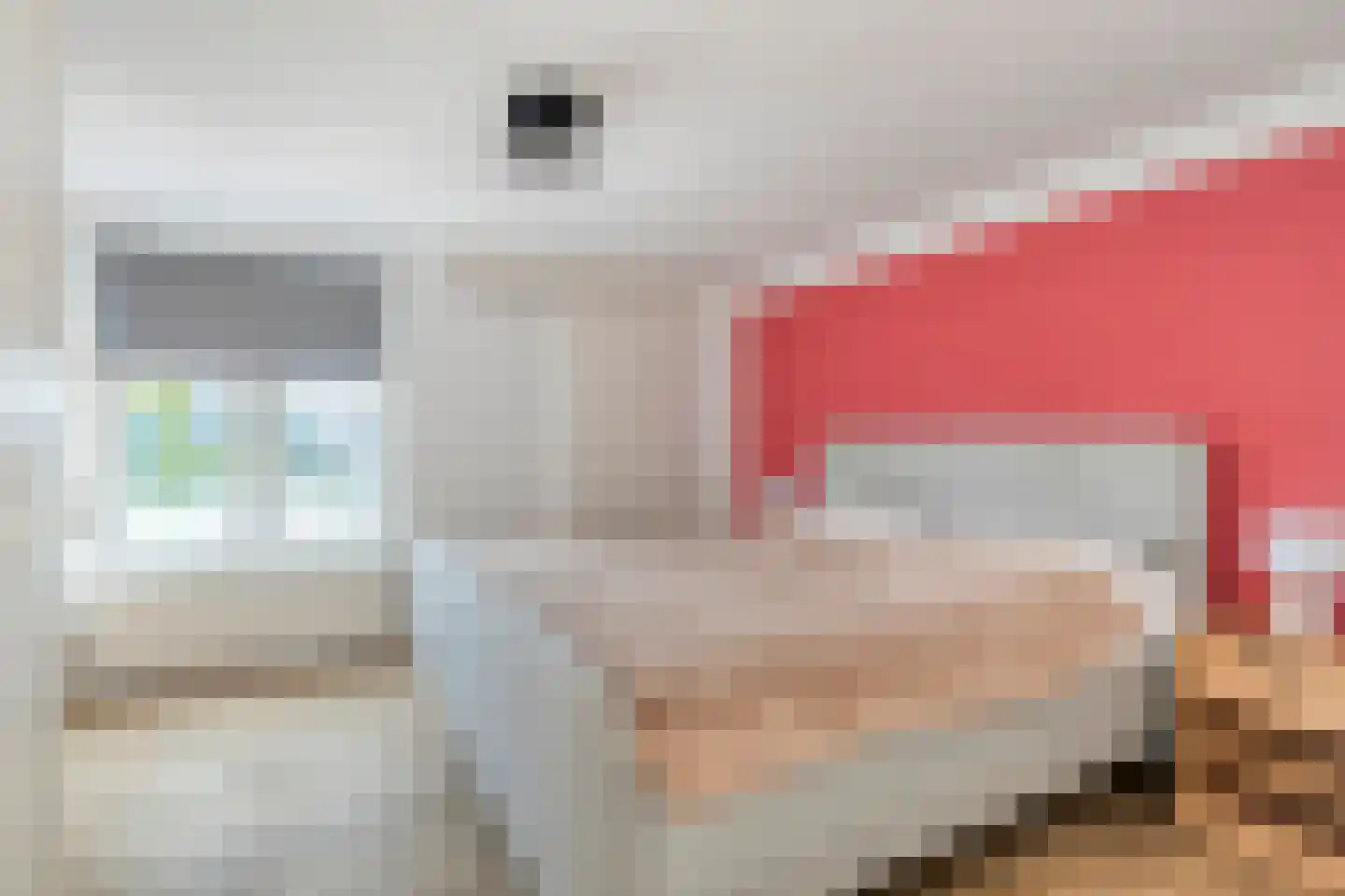 Hoogewaard 204 Koudekerk aan den Rijn thumbnail 17