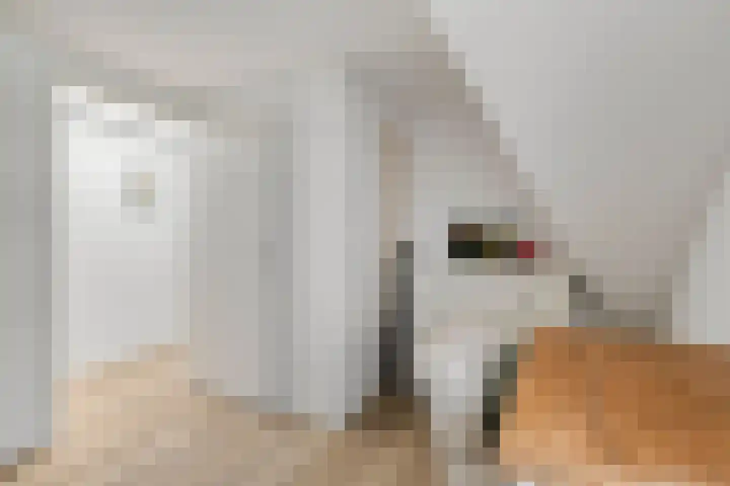 Hoogewaard 204 Koudekerk aan den Rijn thumbnail 25