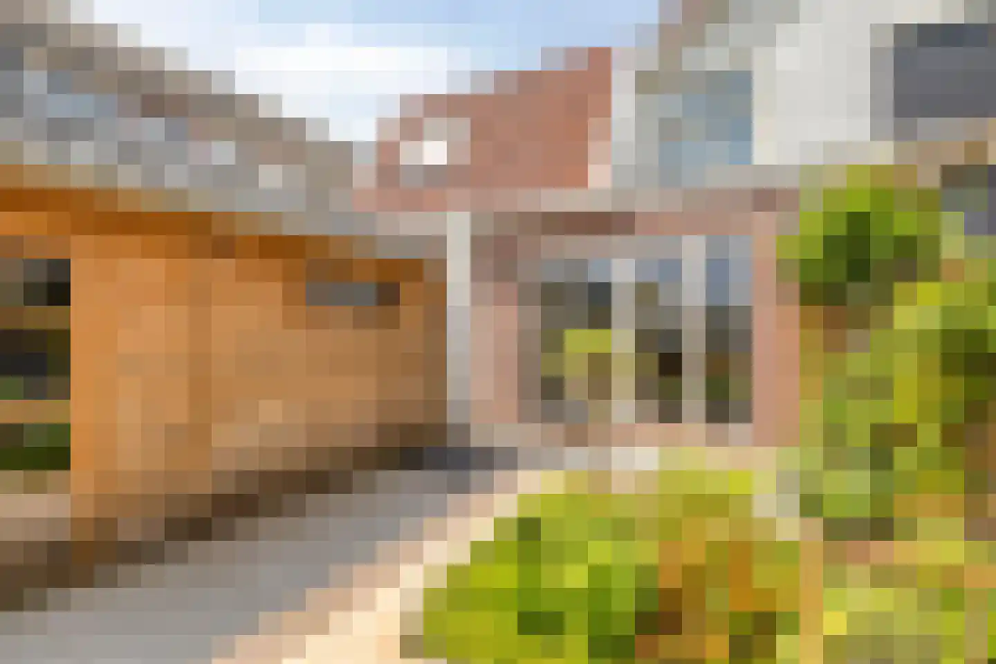 Hoogewaard 204 Koudekerk aan den Rijn thumbnail 27