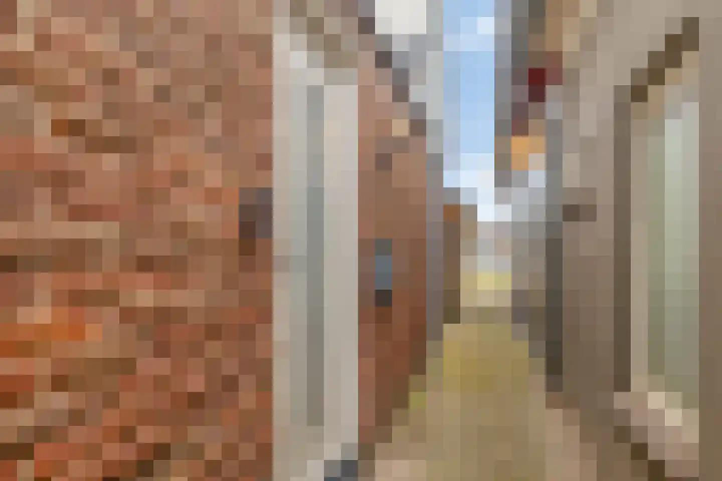 Hoogewaard 204 Koudekerk aan den Rijn thumbnail 6