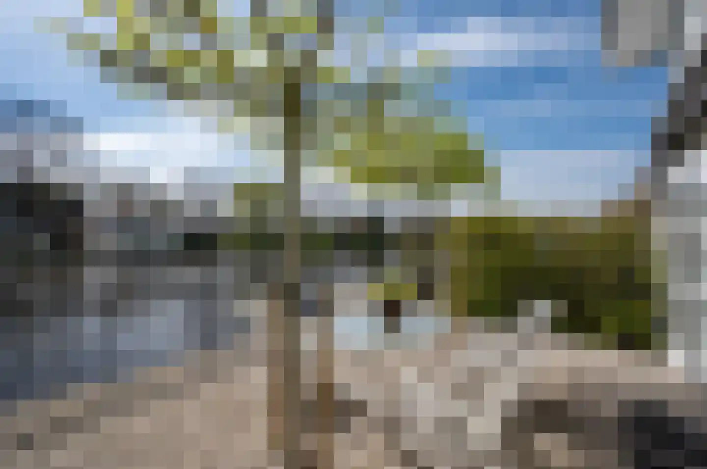 Hoogewaard 48 Koudekerk aan den Rijn thumbnail 12