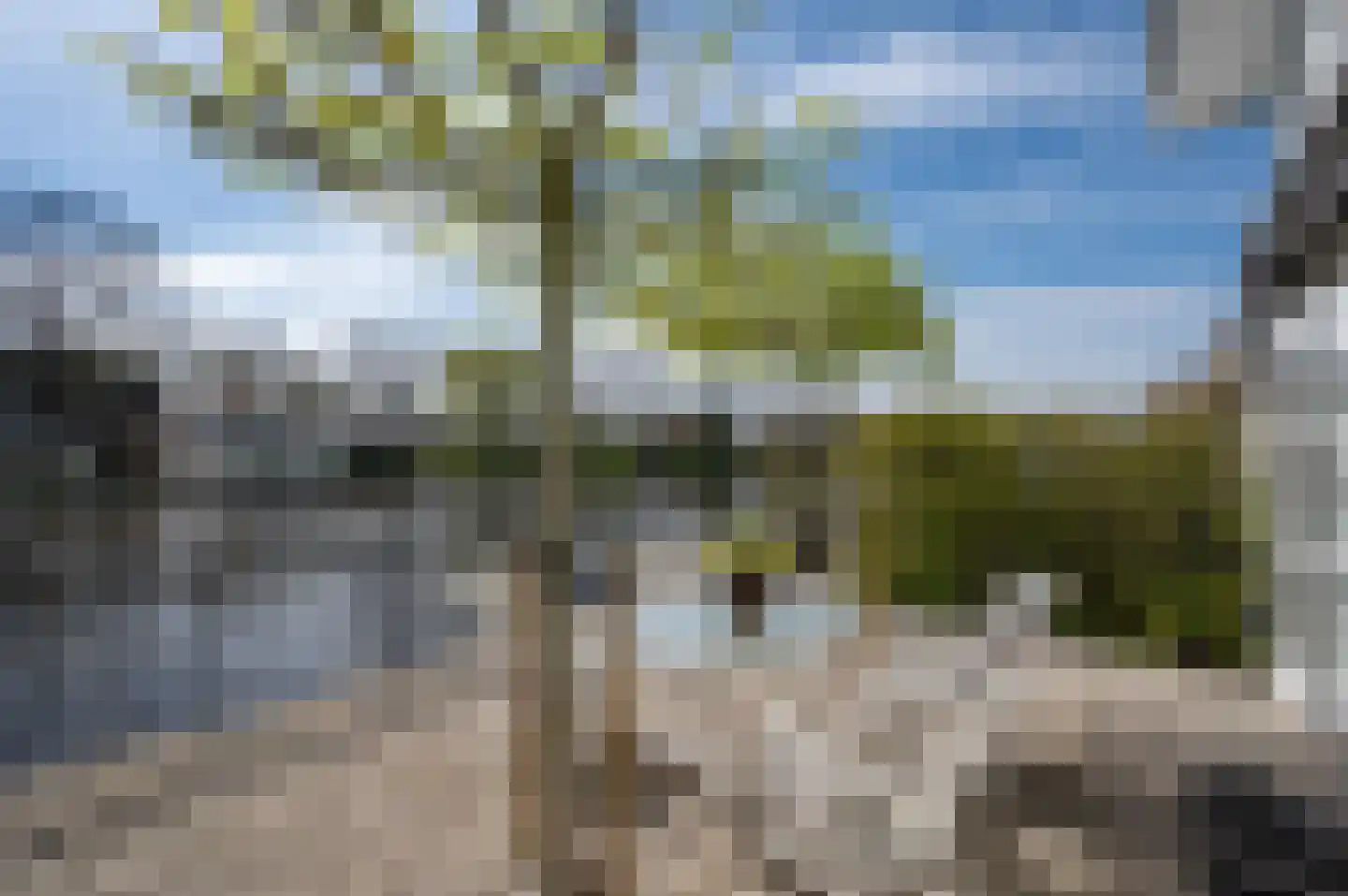 Hoogewaard 48 Koudekerk aan den Rijn thumbnail 12