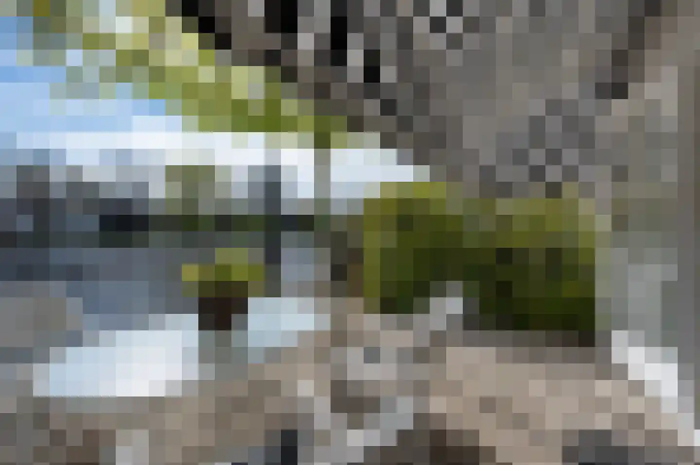 Hoogewaard 48 Koudekerk aan den Rijn thumbnail 13