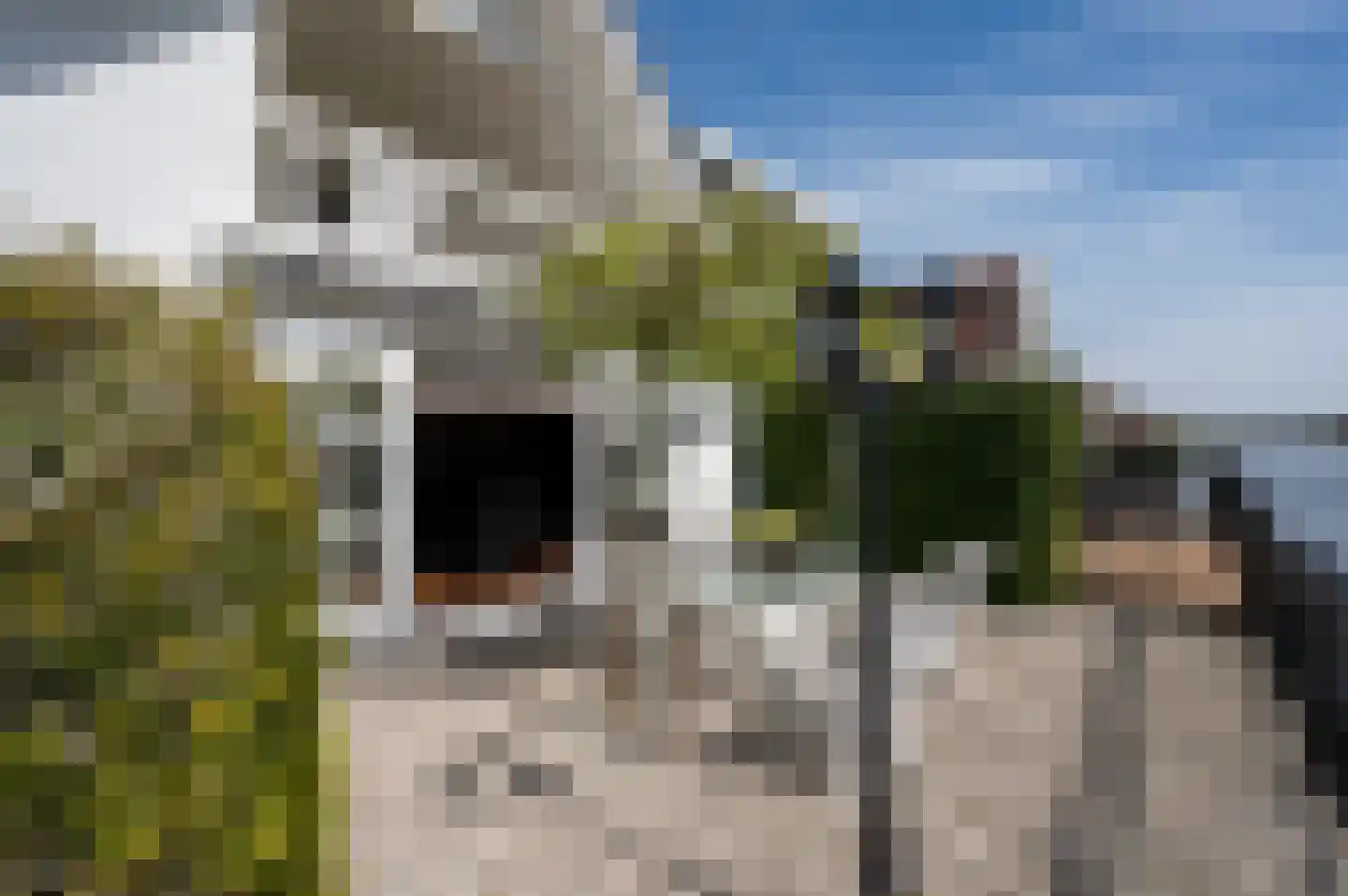 Hoogewaard 48 Koudekerk aan den Rijn thumbnail 15