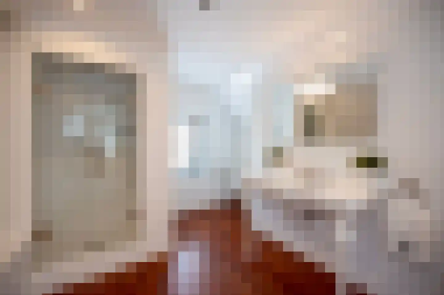 Hoogewaard 48 Koudekerk aan den Rijn thumbnail 17