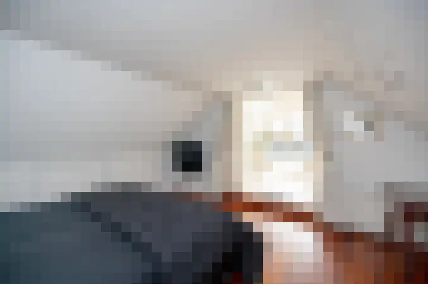 Hoogewaard 48 Koudekerk aan den Rijn thumbnail 19