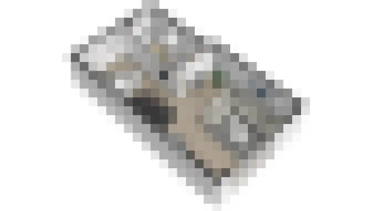 Hoogewaard 48 Koudekerk aan den Rijn thumbnail 35