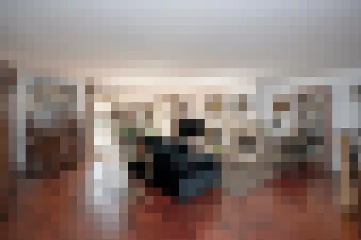 Hoogewaard 48 Koudekerk aan den Rijn thumbnail 7