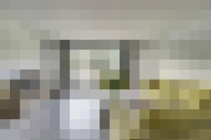 Hoogewaard 50 Koudekerk aan den Rijn thumbnail 10