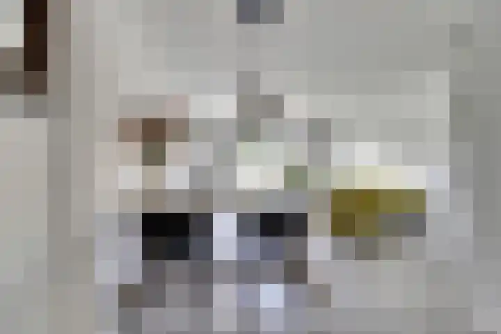 Hoogewaard 50 Koudekerk aan den Rijn thumbnail 12
