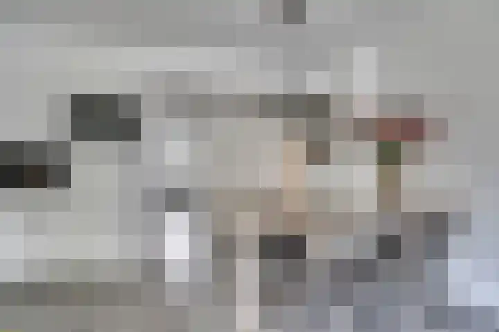 Hoogewaard 50 Koudekerk aan den Rijn thumbnail 13