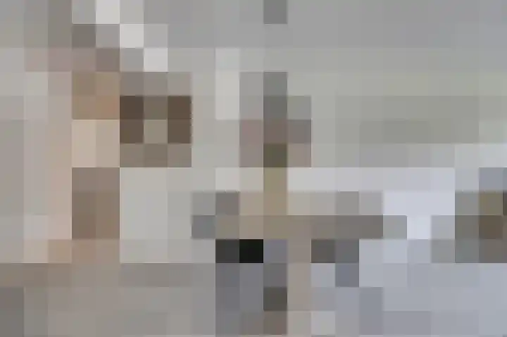 Hoogewaard 50 Koudekerk aan den Rijn thumbnail 14