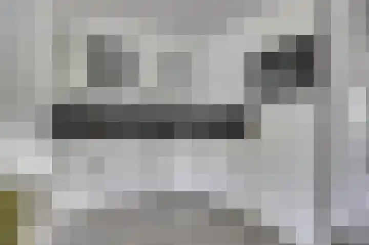Hoogewaard 50 Koudekerk aan den Rijn thumbnail 15