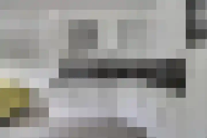 Hoogewaard 50 Koudekerk aan den Rijn thumbnail 16