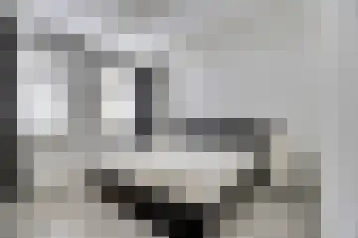 Hoogewaard 50 Koudekerk aan den Rijn thumbnail 19