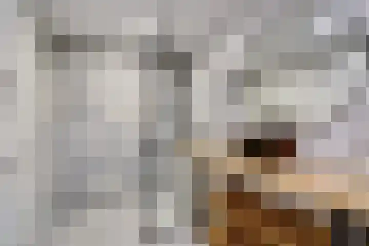 Hoogewaard 50 Koudekerk aan den Rijn thumbnail 4