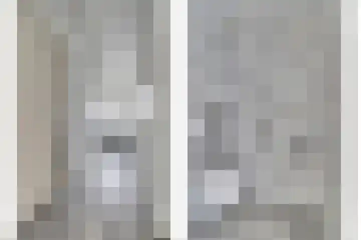Hoogewaard 50 Koudekerk aan den Rijn thumbnail 8