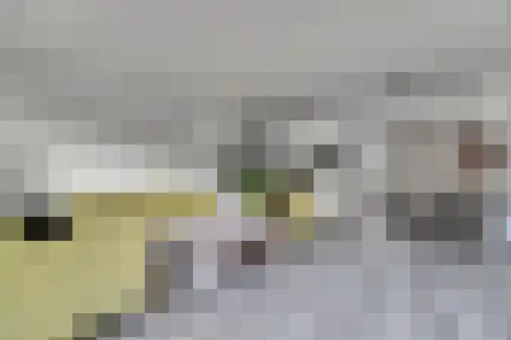 Hoogewaard 50 Koudekerk aan den Rijn thumbnail 9