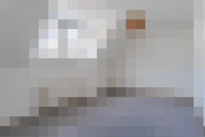 Hoogewaard 80 Koudekerk aan den Rijn thumbnail 12
