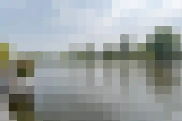 Hoogewaard 80 Koudekerk aan den Rijn thumbnail 5