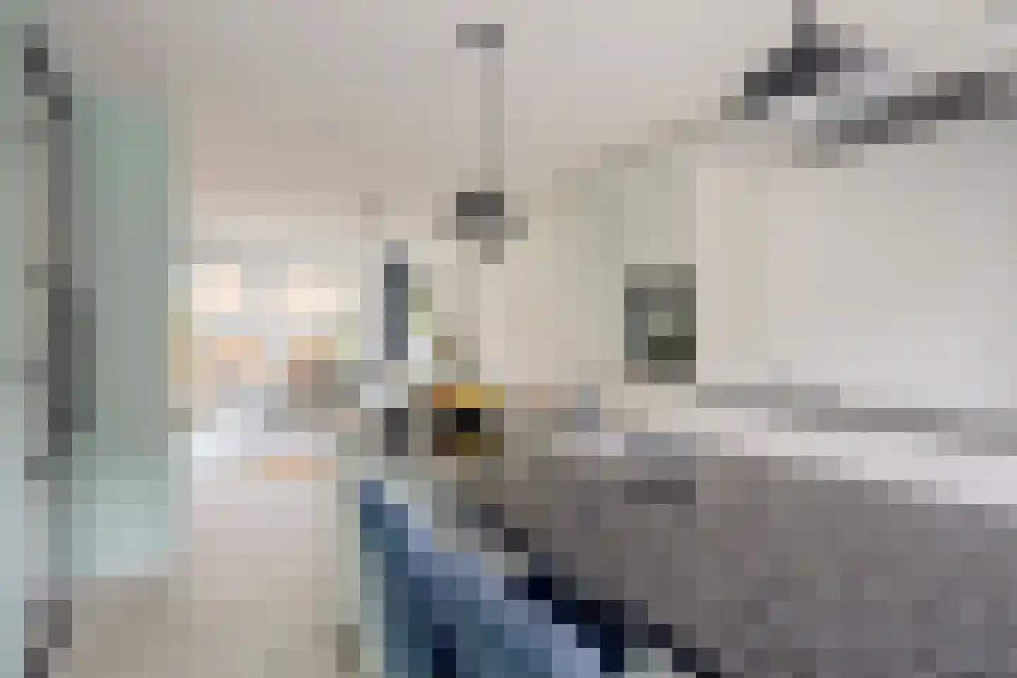 Hoogewaard 93 Koudekerk aan den Rijn thumbnail 16