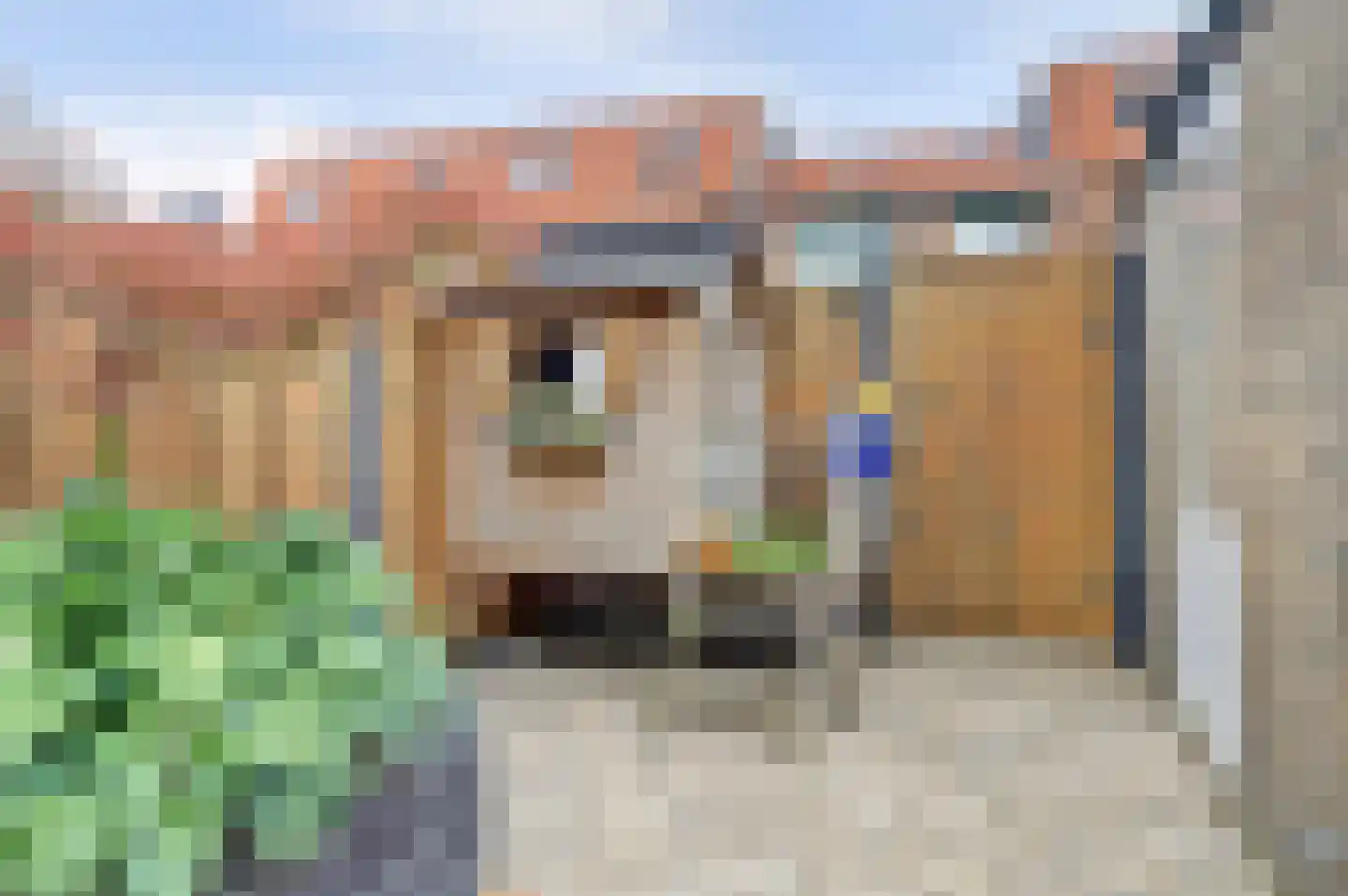 Hoogewaard 93 Koudekerk aan den Rijn thumbnail 27