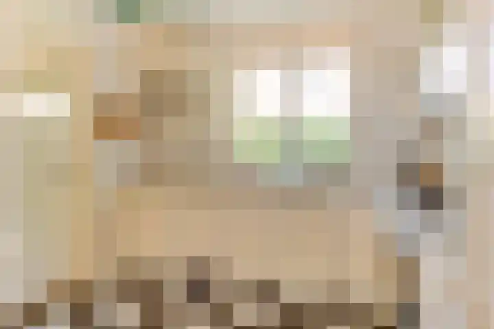Hoogeweg 11 Heiloo thumbnail 21