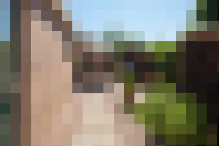 Hoogeweg 11 Heiloo thumbnail 40