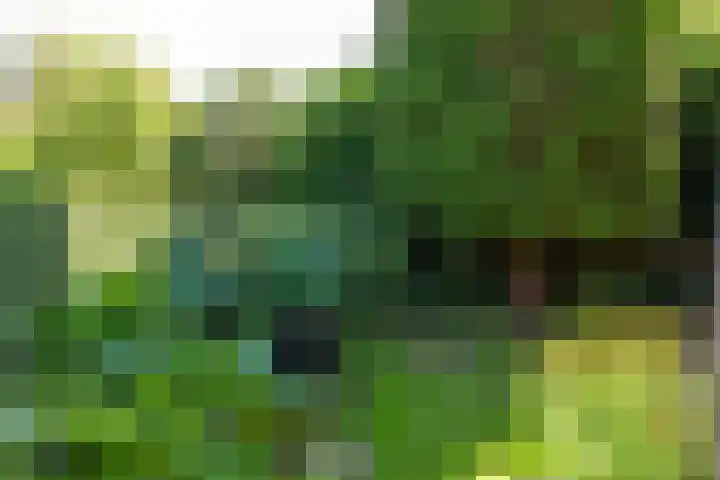Hoogeweg 11 Heiloo thumbnail 54