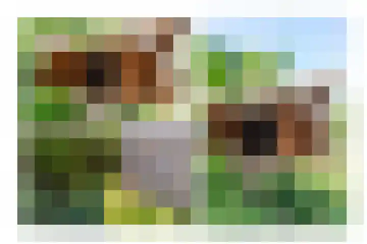 Hoogeweg 11 Heiloo thumbnail 57
