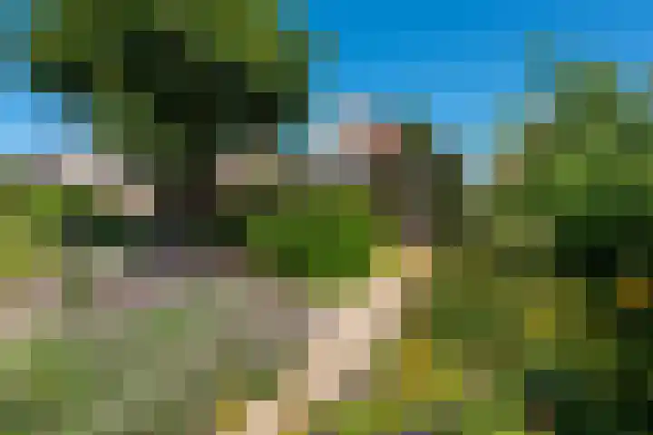 Hoogeweg 11 Heiloo thumbnail 58