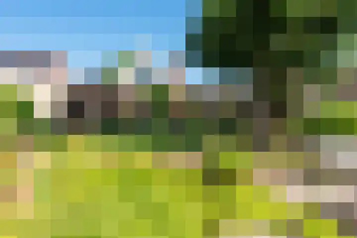 Hoogeweg 11 Heiloo thumbnail 60