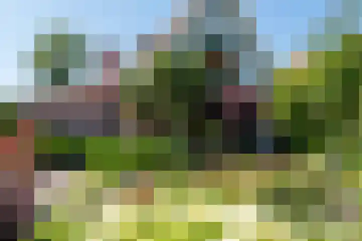 Hoogeweg 11 Heiloo thumbnail 8
