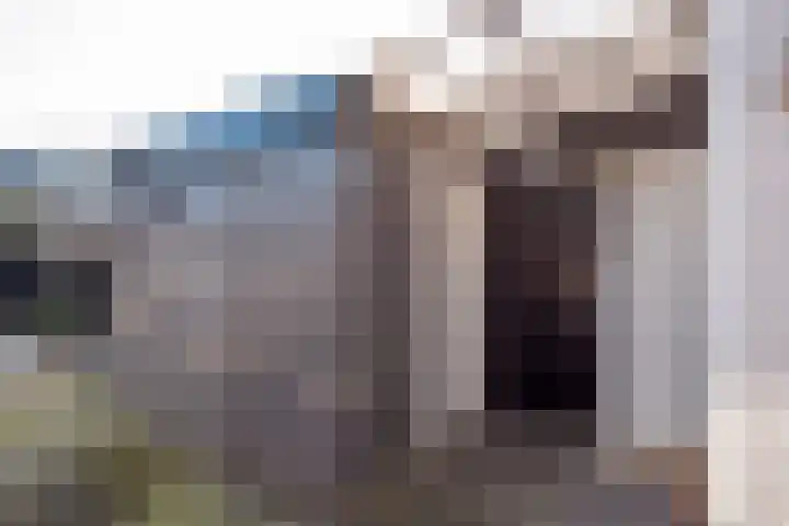 Hoogeweg 16 Heiloo thumbnail 29