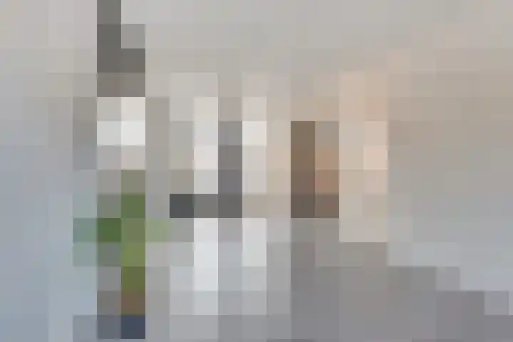Hoogeweg 16 Heiloo thumbnail 5