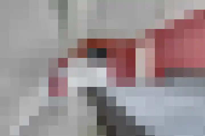 Hoogeweg 20 Pannerden thumbnail 21