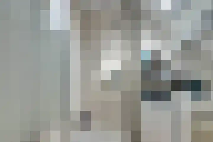 Hoogeweg 20 Pannerden thumbnail 25