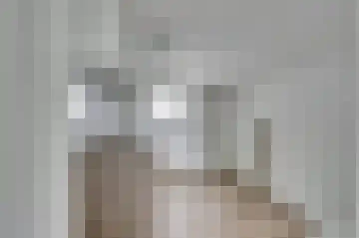 Hoogeweg 20 Pannerden thumbnail 8