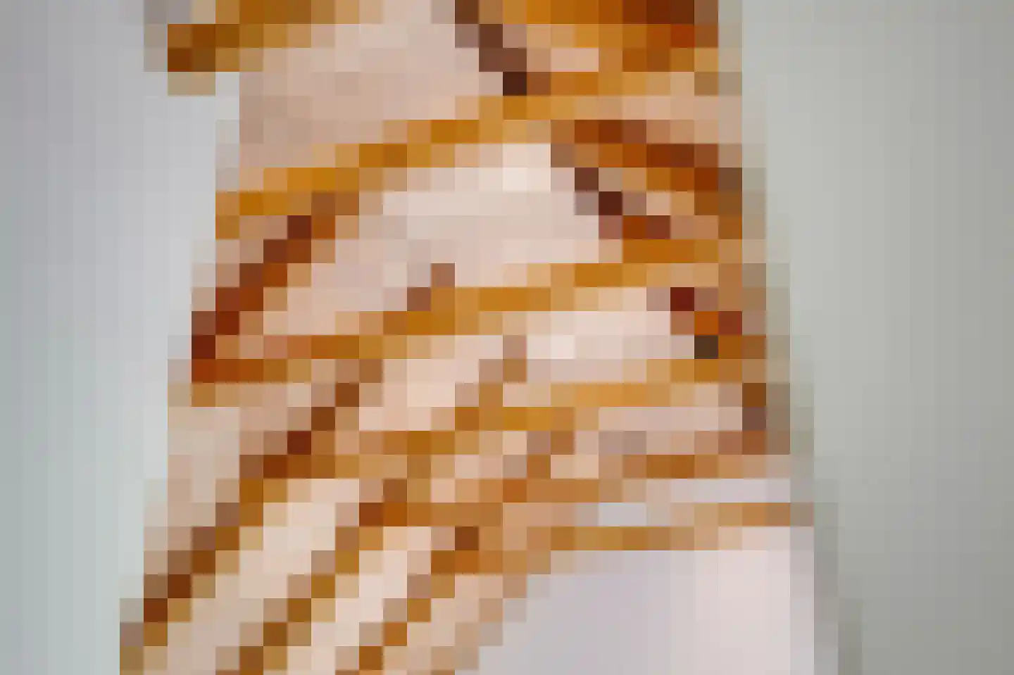 Hoogeweg 22 Kalenberg thumbnail 24