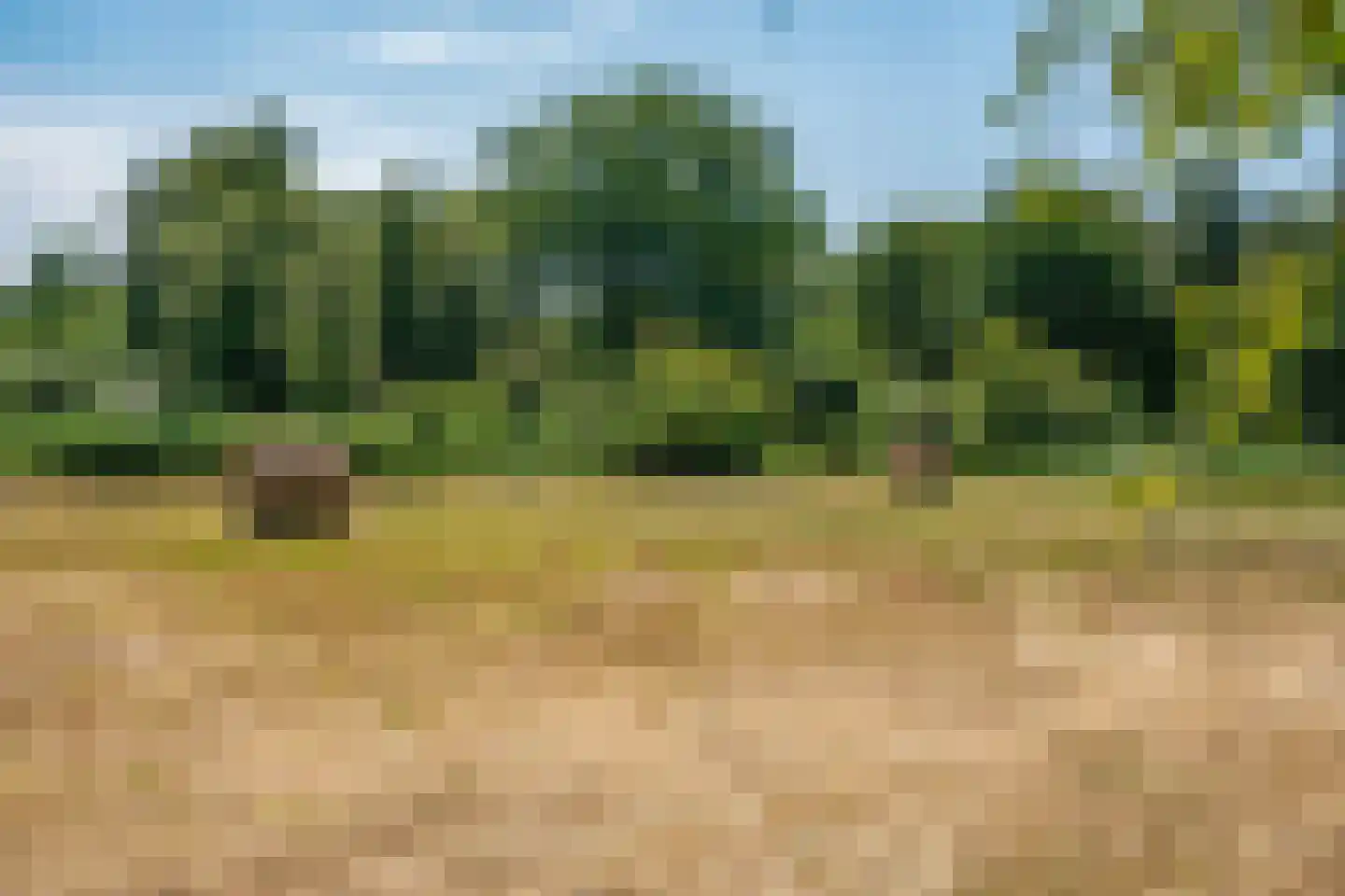 Hoogeweg 22 Kalenberg thumbnail 26