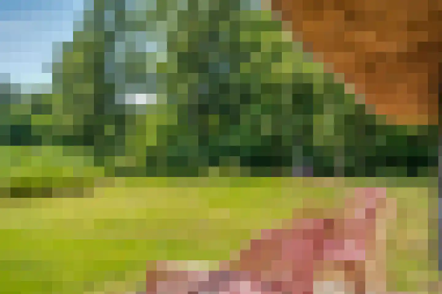 Hoogeweg 22 Kalenberg thumbnail 34