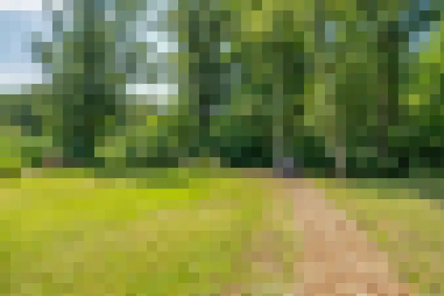 Hoogeweg 22 Kalenberg thumbnail 35