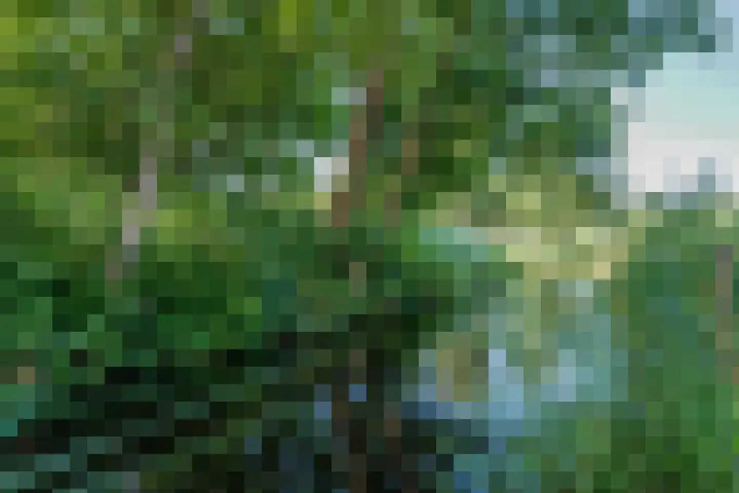 Hoogeweg 22 Kalenberg thumbnail 36