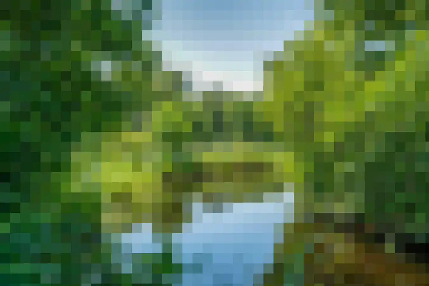 Hoogeweg 22 Kalenberg thumbnail 37