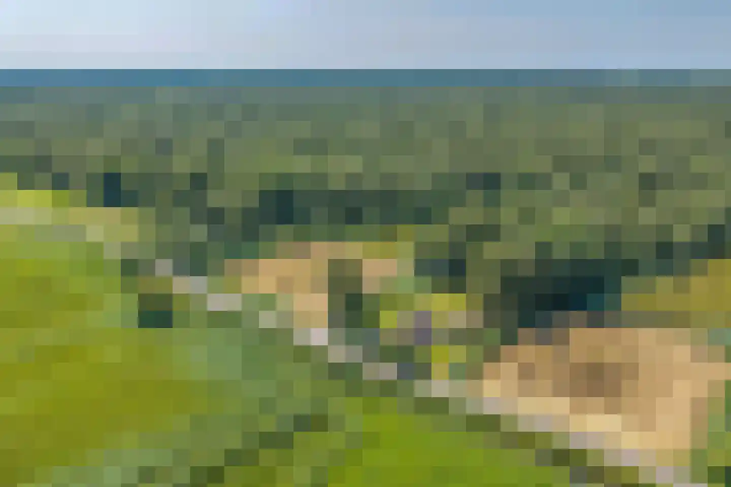 Hoogeweg 22 Kalenberg thumbnail 39