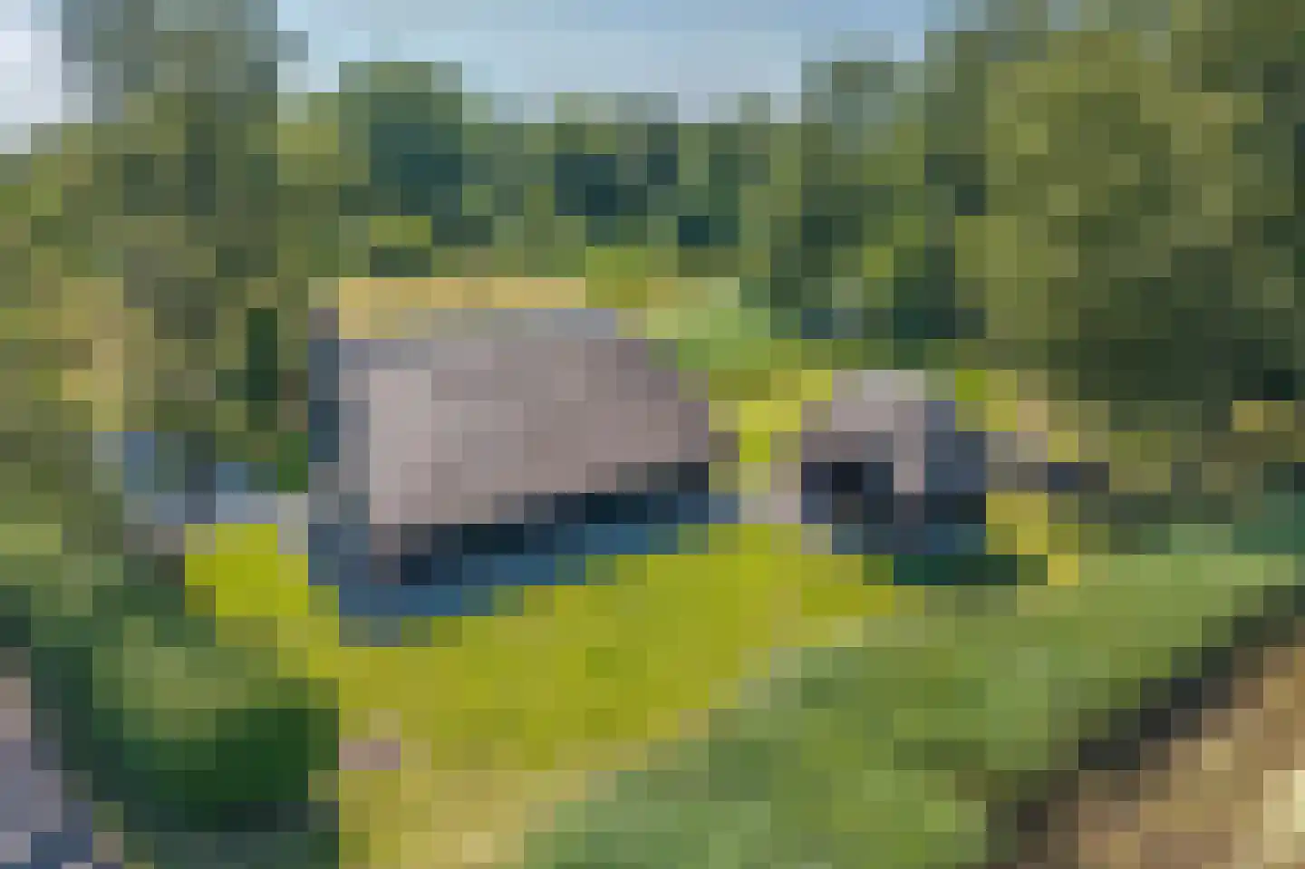 Hoogeweg 22 Kalenberg thumbnail 40