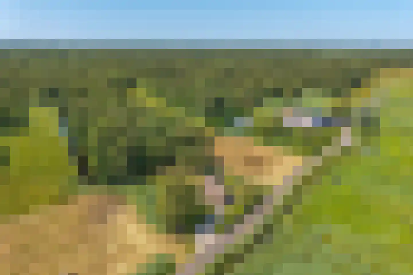 Hoogeweg 22 Kalenberg thumbnail 42